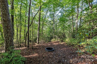 Lot 32 W View Rd Unit 32, Brevard, NC 28712