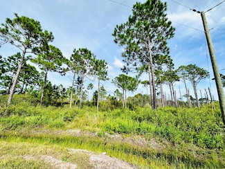 642 Ridge Rd, Eastpoint, FL 32328