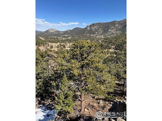 345 Green Pine Ct, Estes Park, CO 80517
