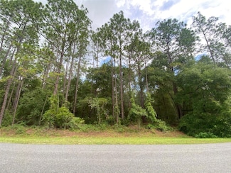 0 SW 61st Place Rd Unit MFRR4909652, Ocala, FL 34481