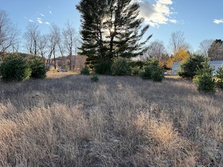 001 9th St, Bear Lake Township, MI 49614