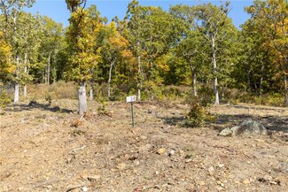 Lot 14 Peaceful Place, Harrison, AR 72601