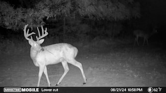 0 County Road 445, Stoutsville, MO 65283