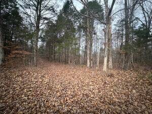 500 Finley Rd, Burkesville, KY 42717
