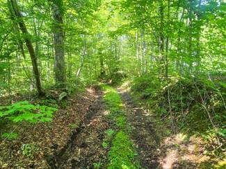 0 Low Gap Rd, Robbins, TN 37852