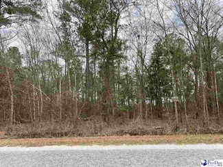 Lot 45 Club Dr, Lamar, SC 29069