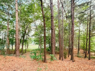 517 W Pleasant Colony Dr, Aiken, SC 29803