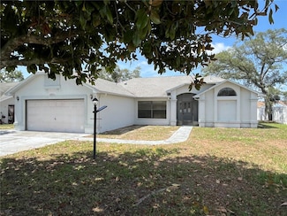 13221 Montego St, Spring Hill, FL 34609