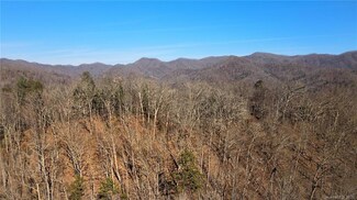 852 Fisher Branch Rd, Marshall, NC 28753