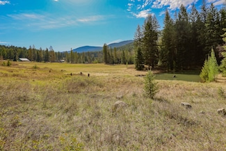 Nhn Warland Creek Rd, Libby, MT 59923