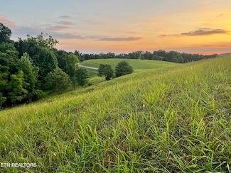 146 Tanzanite Trail, New Tazewell, TN 37825