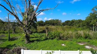 1932 Andrews Loop, Lutz, FL 33558