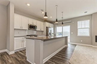 20017 62nd Place, Hamel, MN 55340