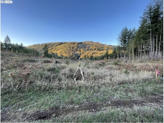 00 NE Sunset Dr, Yacolt, WA 98675