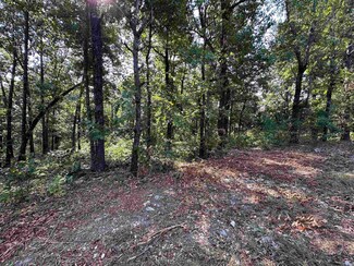 600,602,604 Pavilion Ln, Horseshoe Bend, AR 72512