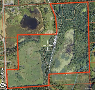 VL S Mill Rd, Dryden Township, MI 48428