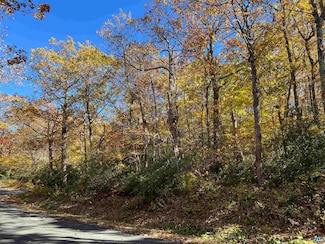 62 Split Rock Trail, Rockfish, VA 22967