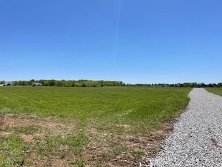 Tract 8 Eagles Roost, Mountain Grove, MO 65711