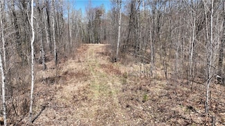XX E Beauregard Lake Rd, Solon Springs, WI 54873