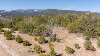 0 Gunsmoke Rd, Sandia Park, NM 87047