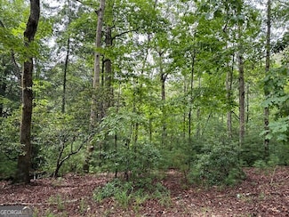 0 Seneca Dr Unit 10497887, Ellijay, GA 30540