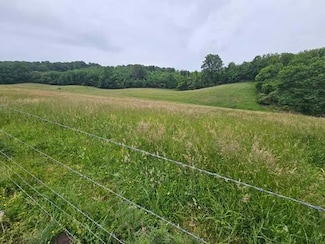 1366 Spring Valley Rd, Marion, VA 24354