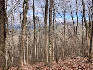 00 Hickory Trace, Ellijay, GA 30536