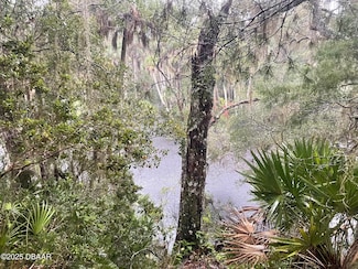 1783 Taylor Rd, Point Orange, FL 32128