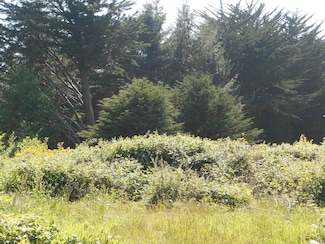 170 Shore Cliff Dr, Crescent City, CA 95531