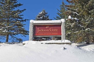 326 Qtr. II Jackson Gore Inn Rd Unit 326, Ludlow, VT 05149