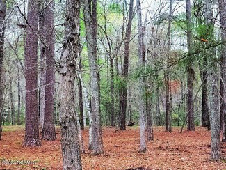85 Harbour View, Chocowinity, NC 27817