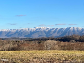Lot 92 River View Dr, Greeneville, TN 37743