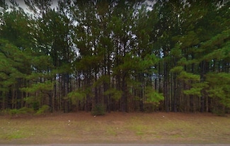 0 Vine Ct, Harleton, TX 75651
