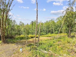 80 E Cascara Cove Ln, Shelton, WA 98584