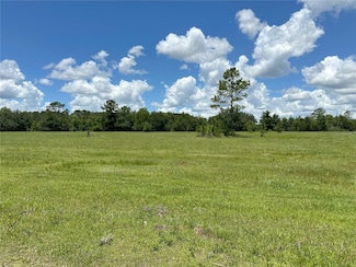 Maple Creek Farms - NE 130th Court Rd, Fort McCoy, FL 32134