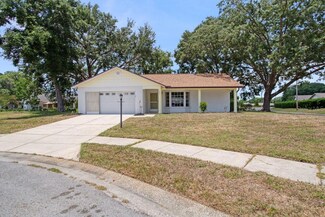 4621 Gingham Ct, New Port Richey, FL 34655