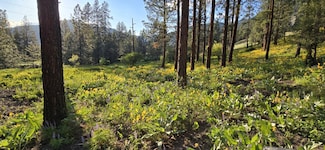 NHN Profile Rock, Alberton, MT 59820