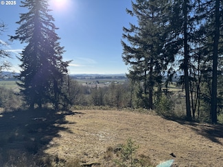 0 SE Rice Ln Unit 456061139, Amity, OR 97101