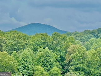 48 Madeline Way, Blairsville, GA 30512