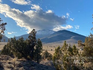 TBD S Elba-Almo Rd Parcel 3, Elba, ID 83342