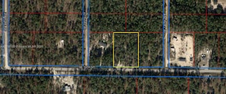 0 SE 10th St, Williston, FL 32696