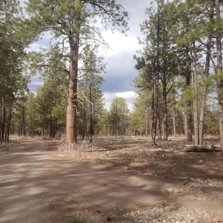 435 Wood Sorrel Ln, Ridgway, CO 81432
