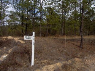 4070 Columbia Hwy N, Ridge Spring, SC 29129