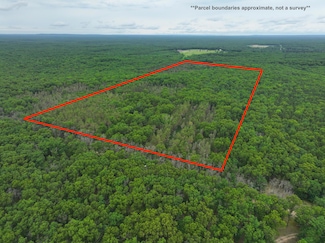 7376 W 7 Mile Rd, Irons, MI 49644