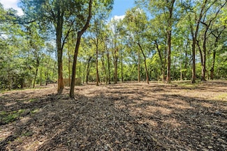 0 Farm To Market Road 1008, Dayton, TX 77535