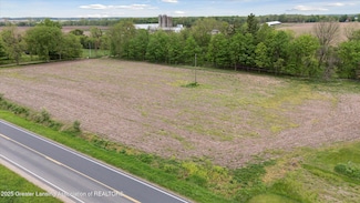 0 V/L W Colony Rd, Saint Johns, MI 48879