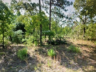 9195 N Athens Dr, Citrus Springs, FL 34433