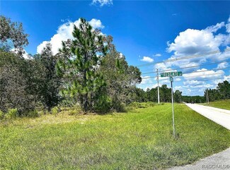 2671 W Redgate Dr, Pine Ridge, FL 34433