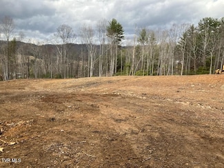 0 Hidden Dr Unit 9984742, Mountain City, TN 37683