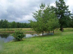 00 Country Rd, Mountain View, MO 65548